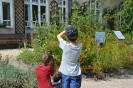 Fotoworkshop für Kinder und Jugendliche 2018_2